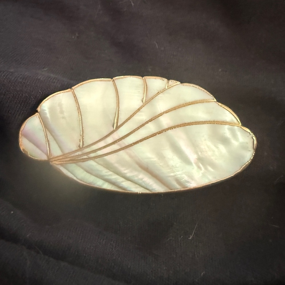 Elegant Shell Brooch with Gold Accents